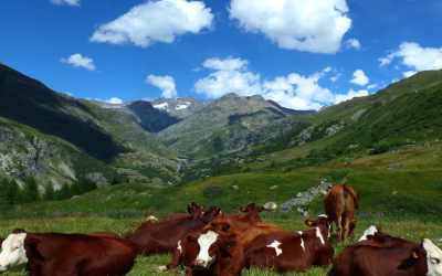 Les Secrets Cachés des Traditions Oubliées de Haute-Savoie