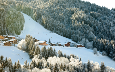 Découvrez pourquoi la Haute-Savoie pourrait devenir la nouvelle Silicon Valley