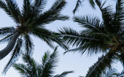 Voyagez dans le temps : Ces destinations où l’on peut vivre dans une autre époque
